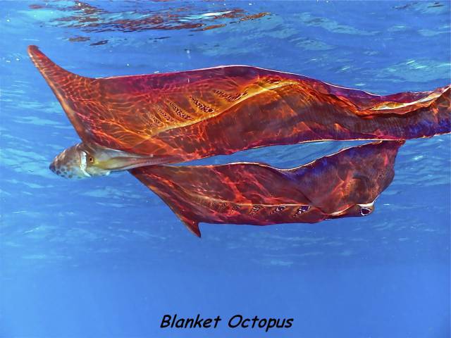 daily picdump 110 pics 23.html - 110 HD Photos | Premium Gallery 2016