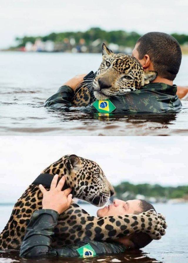 daily picdump 110 pics 23.html - 110 HD Photos | Premium Gallery 2016