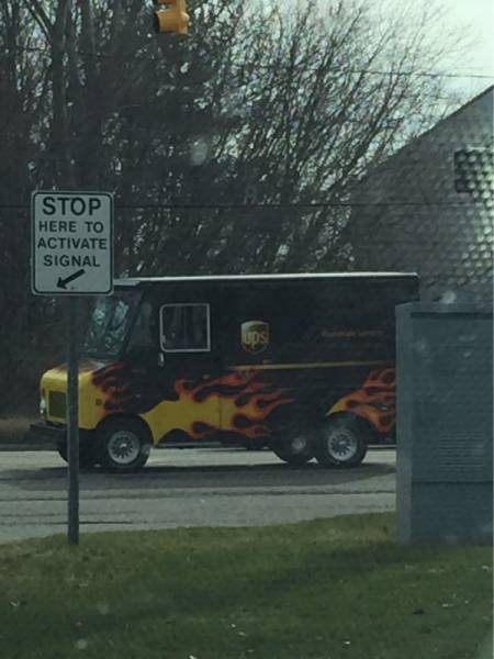 Morning Picdump