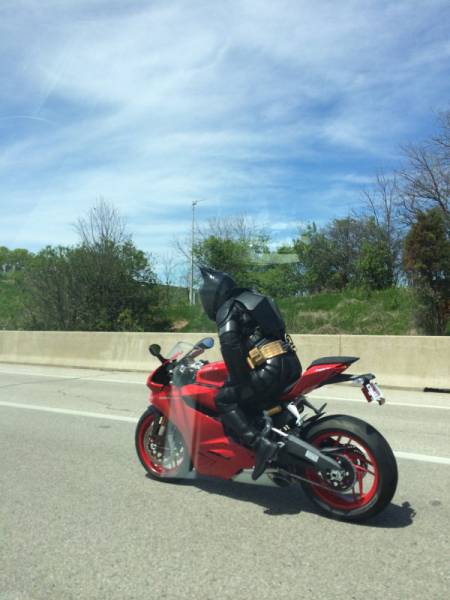 Morning Picdump
