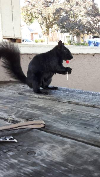 Morning Picdump