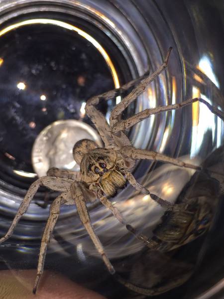 morning picdump 51 pics 3.html - 51 HD Photos | Premium Gallery 2016