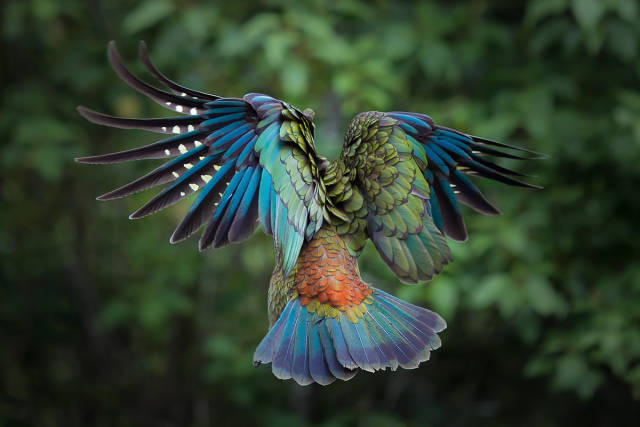 morning picdump 51 pics 3.html - 51 HD Photos | Premium Gallery 2016