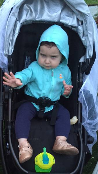 morning picdump 51 pics 3.html - 51 HD Photos | Premium Gallery 2016