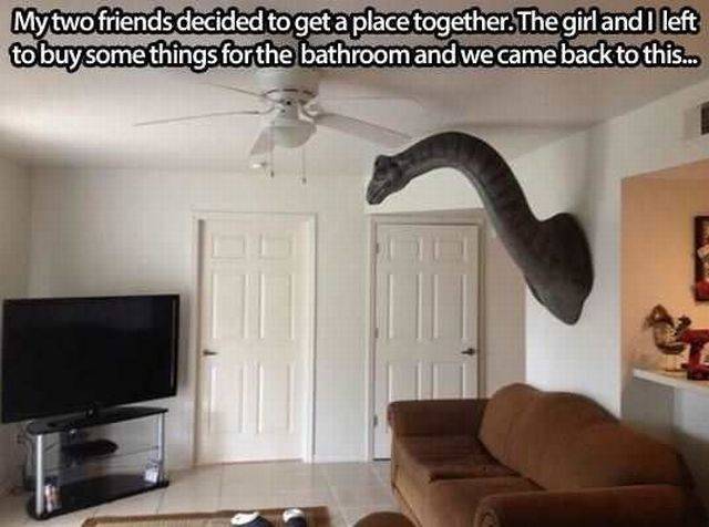 Daily Picdump