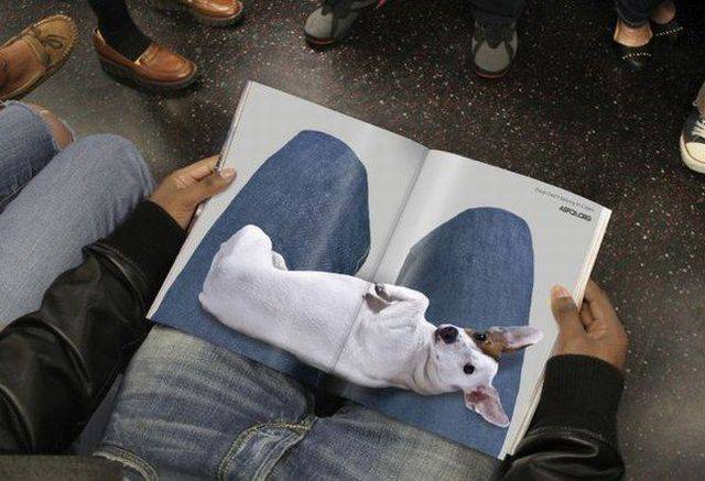Daily Picdump