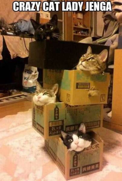 Daily Picdump