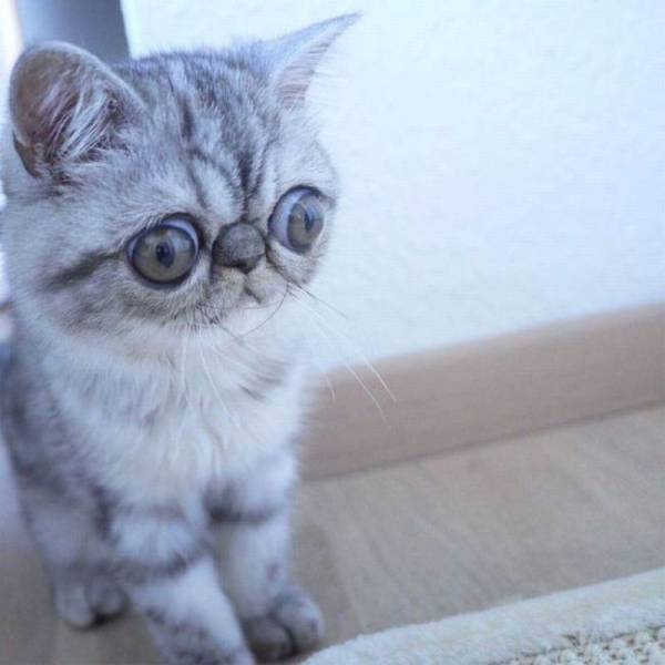 Daily Picdump