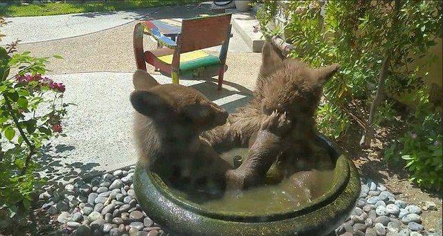 daily picdump 94 pics 46.html - 94 HD Photos | Premium Gallery 2016