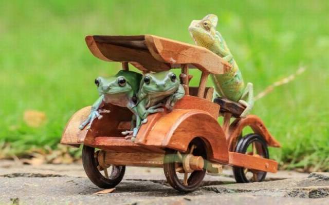 daily picdump 94 pics 46.html - 94 HD Photos | Premium Gallery 2016