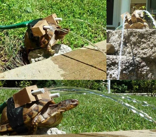 Morning Picdump