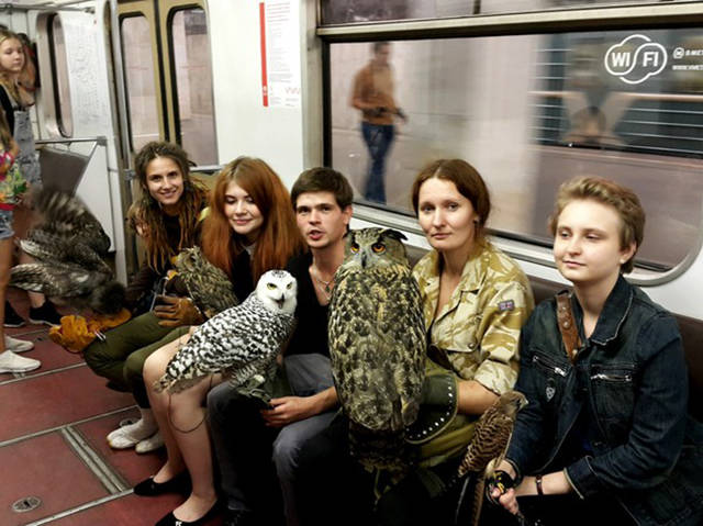 Morning Picdump