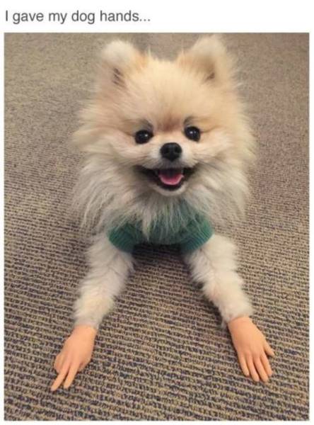 Morning Picdump