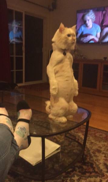 morning picdump 51 pics 21.html - 51 HD Photos | Premium Gallery 2016