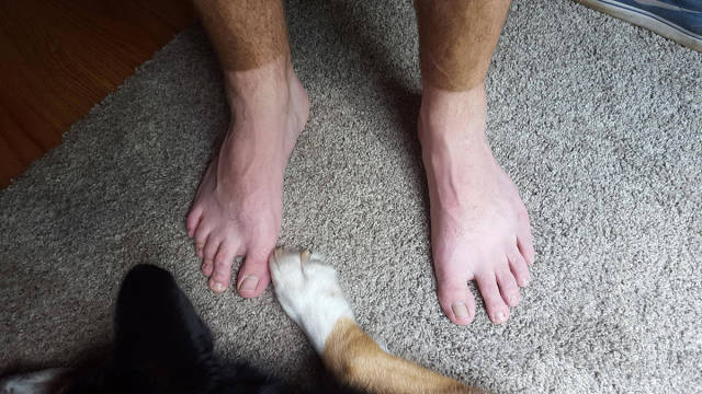 morning picdump 51 pics 21.html - 51 HD Photos | Premium Gallery 2016