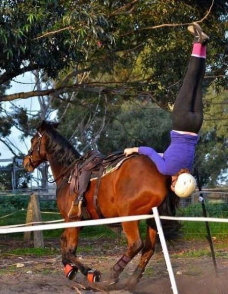 Daily Picdump