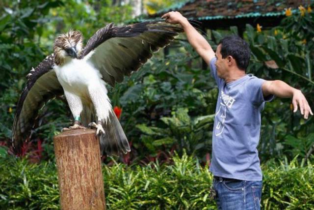 daily picdump 102 pics 31.html - 102 HD Photos | Premium Gallery 2016