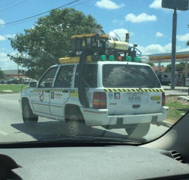 Morning Picdump