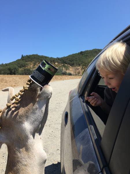 morning picdump 53 pics 12.html - 53 HD Photos | Premium Gallery 2016