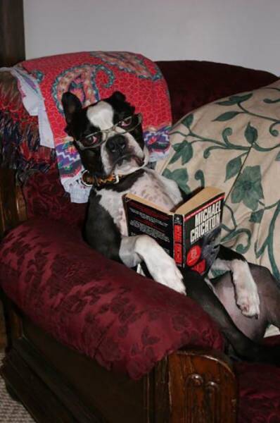 morning picdump 53 pics 12.html - 53 HD Photos | Premium Gallery 2016