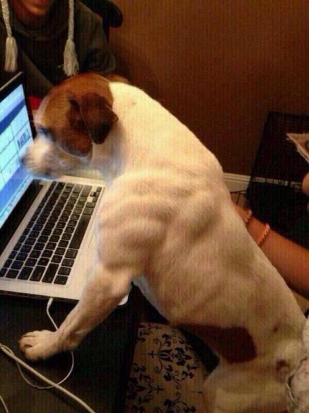 morning picdump 53 pics 12.html - 53 HD Photos | Premium Gallery 2016