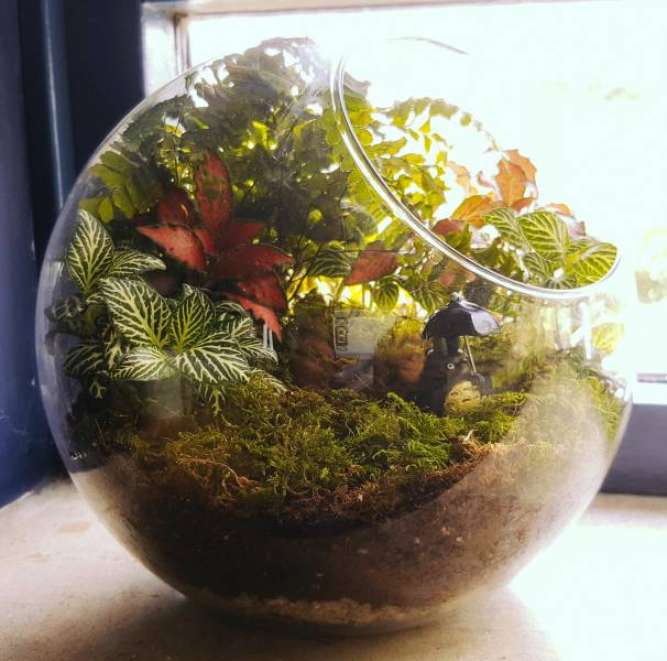 morning picdump 53 pics 12.html - 53 HD Photos | Premium Gallery 2016