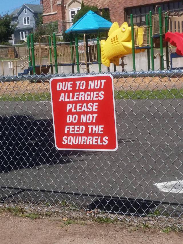 morning picdump 53 pics 12.html - 53 HD Photos | Premium Gallery 2016