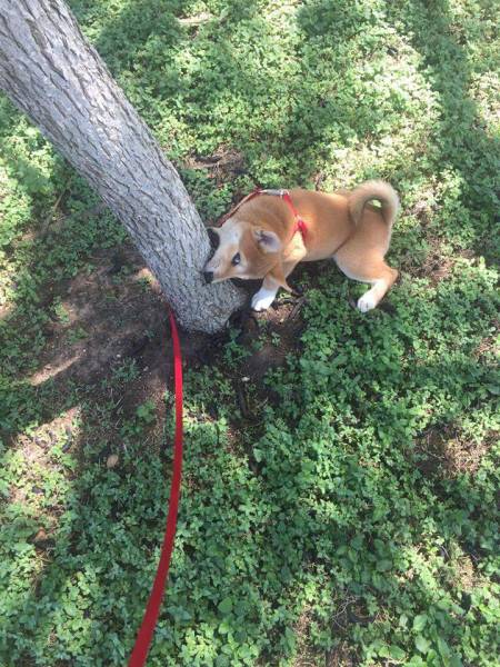 Daily Picdump [WEEKEND EDITION]