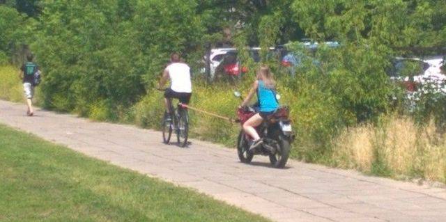 Daily Picdump