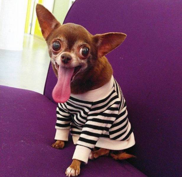 daily picdump 104 pics 18.html - 104 HD Photos | Premium Gallery 2016