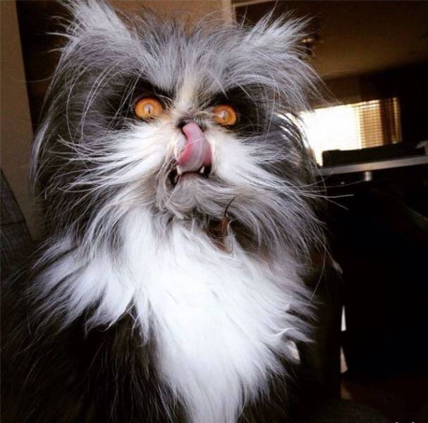 daily picdump 104 pics 18.html - 104 HD Photos | Premium Gallery 2016