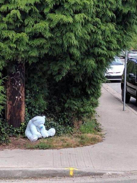 daily picdump 104 pics 18.html - 104 HD Photos | Premium Gallery 2016