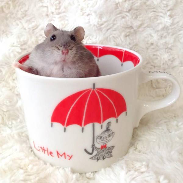 daily picdump 104 pics 18.html - 104 HD Photos | Premium Gallery 2016