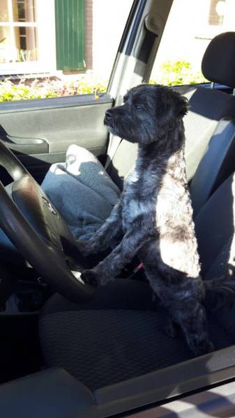 daily picdump 104 pics 18.html - 104 HD Photos | Premium Gallery 2016