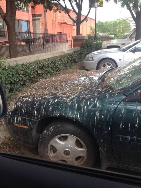 daily picdump 104 pics 18.html - 104 HD Photos | Premium Gallery 2016