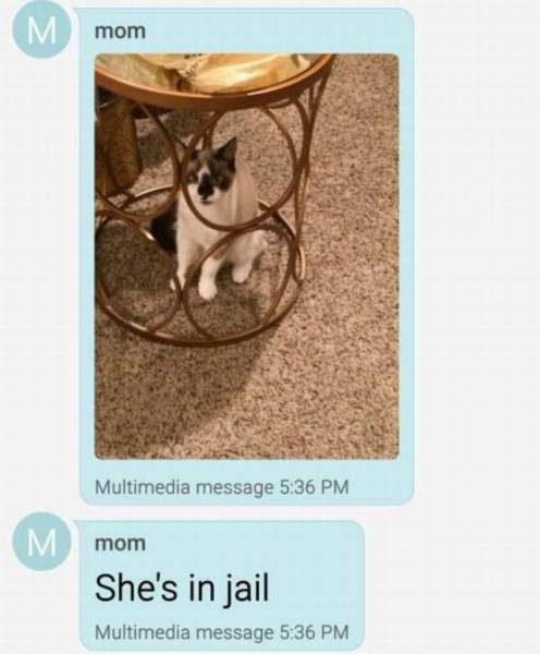 daily picdump 104 pics 18.html - 104 HD Photos | Premium Gallery 2016