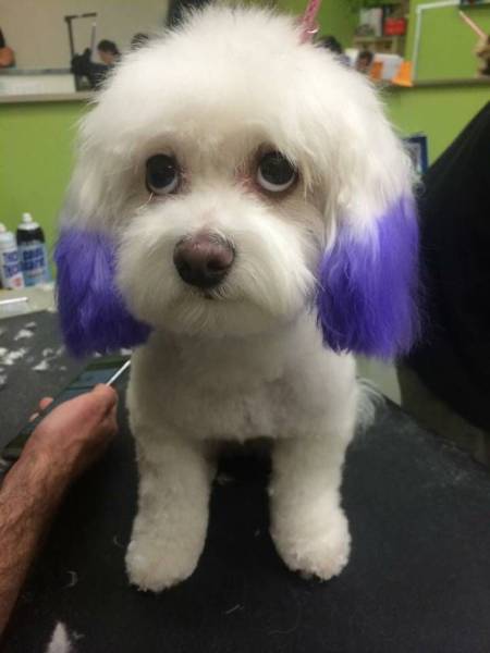 daily picdump 104 pics 18.html - 104 HD Photos | Premium Gallery 2016