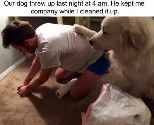 daily picdump 104 pics 18.html - 104 HD Photos | Premium Gallery 2016