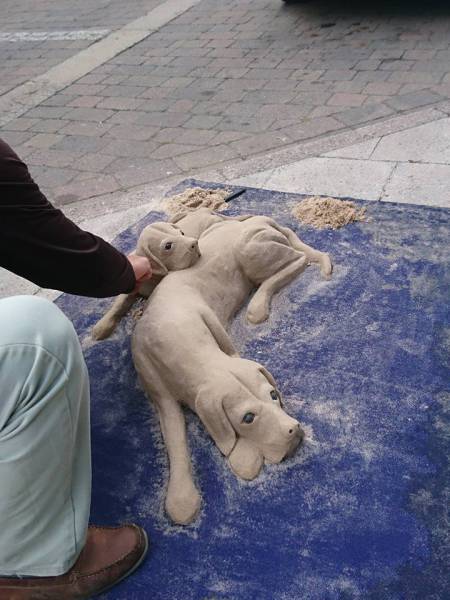 daily picdump 104 pics 18.html - 104 HD Photos | Premium Gallery 2016