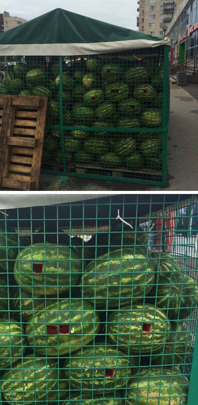 daily picdump 104 pics 18.html - 104 HD Photos | Premium Gallery 2016