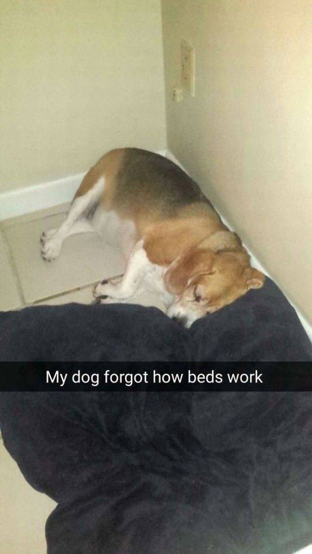 daily picdump 104 pics 18.html - 104 HD Photos | Premium Gallery 2016