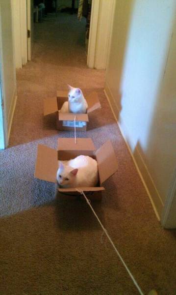 morning picdump 51 pics 17.html - 51 HD Photos | Premium Gallery 2016