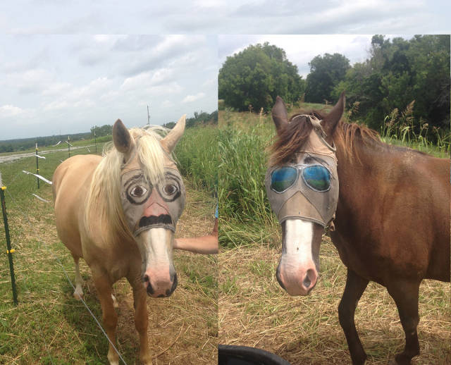 morning picdump 51 pics 17.html - 51 HD Photos | Premium Gallery 2016