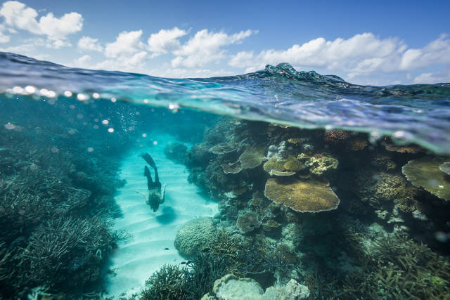 morning picdump 51 pics 17.html - 51 HD Photos | Premium Gallery 2016