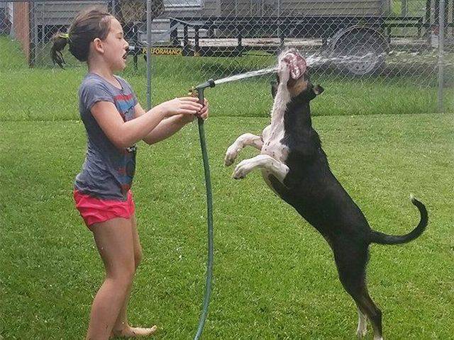 daily picdump 105 pics 35.html - 105 HD Photos | Premium Gallery 2016