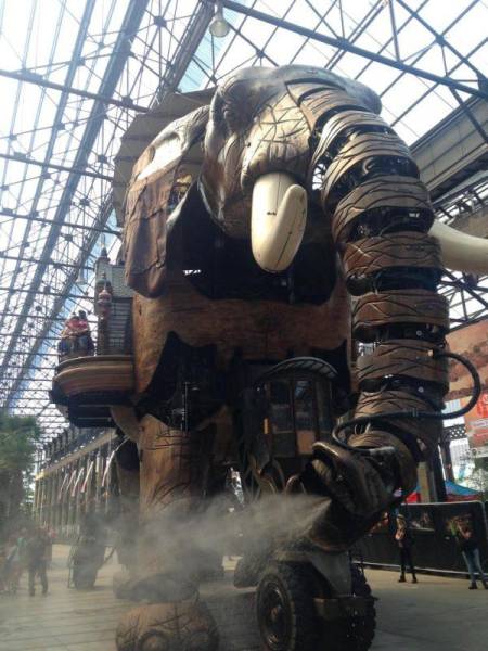 daily picdump 105 pics 35.html - 105 HD Photos | Premium Gallery 2016