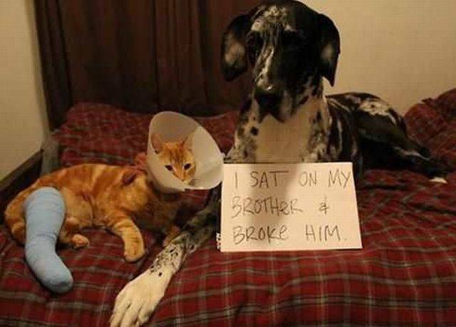 daily picdump 105 pics 35.html - 105 HD Photos | Premium Gallery 2016