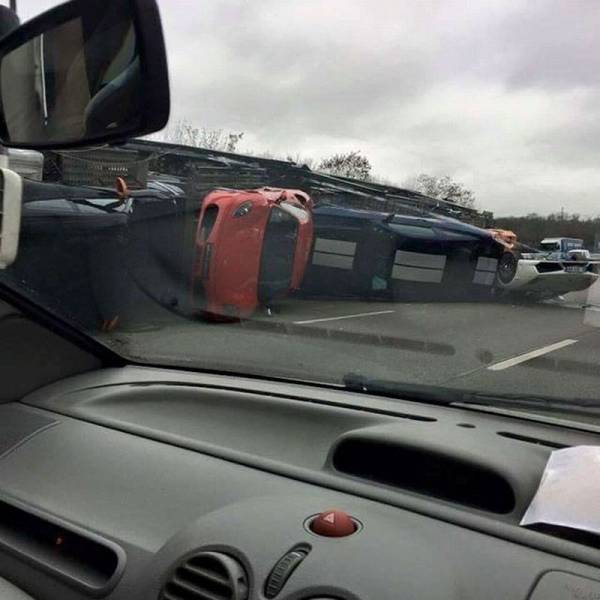 daily picdump 105 pics 35.html - 105 HD Photos | Premium Gallery 2016