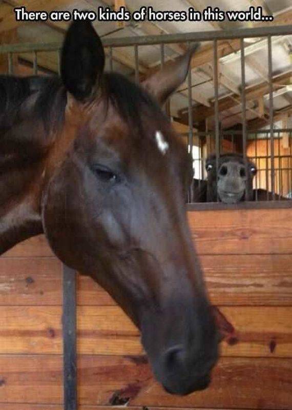 daily picdump 105 pics 35.html - 105 HD Photos | Premium Gallery 2016