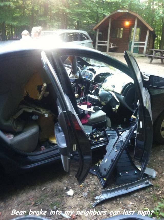 daily picdump 105 pics 35.html - 105 HD Photos | Premium Gallery 2016